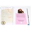 Image 1 : NEW DISNEY-PIXAR BRAVE: MÉRIDA'S BOOK OF SECRETS