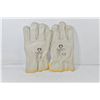 Image 1 : CANADA GRIZZLY LEATHER GLOVES CANADA THIN INSULATE