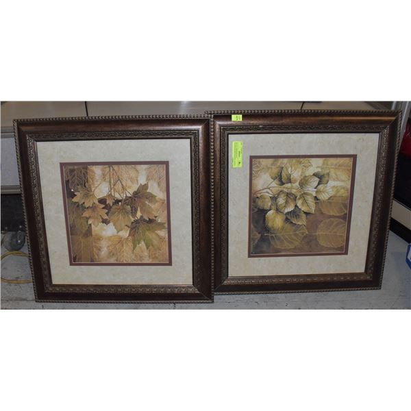SET OF 2 PROFESSIONAL FRAMED,DOUBLE MATTED ,LEAVES
