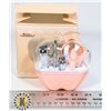 NEW 9 PC BEAUTY SET IN APPLE SHAPED HOLDER