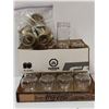 Image 1 : TWO DOZEN MASON JARS