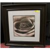 Image 1 : FRAMED ROSE IMAGE PRINT APPROX 32" X 32"