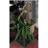 Image 1 : UNCLAIMED LARGE HOUSEPLANT - DAMAGED
