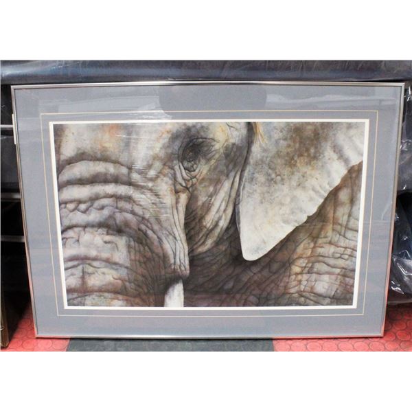 FRAMED ELEPHANT EYE ART PIECE: 33" X 26 1/2"