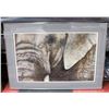 Image 1 : FRAMED ELEPHANT EYE ART PIECE: 33" X 26 1/2"