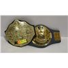 Image 1 : VINTAGE WWE WRESTLING BELTS
