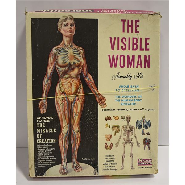 THE VISIBLE WOMAN VINTAGE MODEL