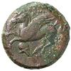 Image 2 : Entella   AE 19 mm. ca. 342 a.C.