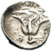 Image 2 : Caria-Rodi   Dracma, 387-304 a.C.