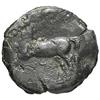 Image 2 : Numidia  Micipsa (148-118 a.C.) AE 28 mm.