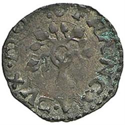 Pesaro  Francesco Maria I della Rovere (1508-1538) Quattrino