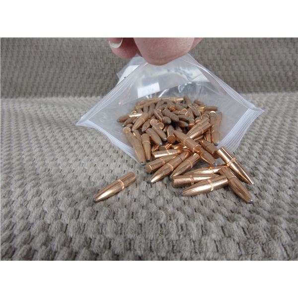 243 Rem Bullets 100 gr PSP - Bag of 100