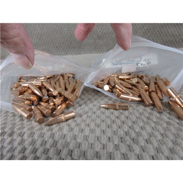 243 Rem Bullets 100 gr PSP - Bag of 100 & Bag of 64