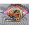 Image 1 : 30-06 Springfield Winchester Brass New - Bag of 58