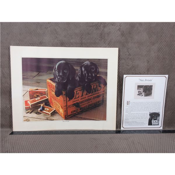 Peters "New Arrivals" Poster Pups in a Ammo Box 1980