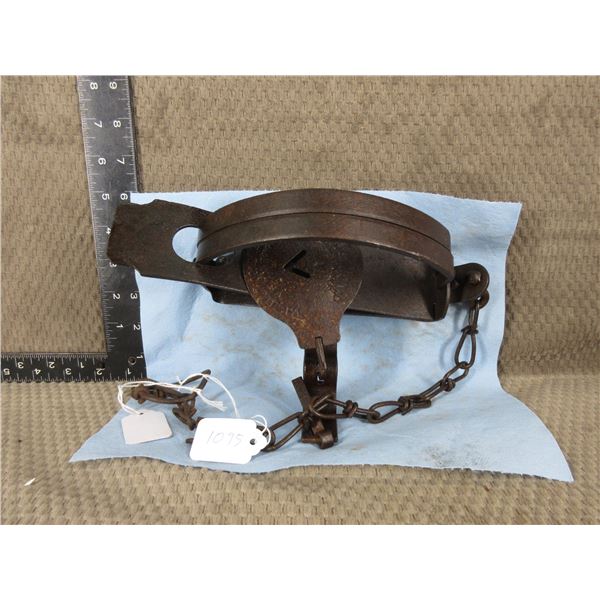 Oneida Jump # 4 Trap