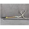 Image 1 : Indigenous War Club with Antler
