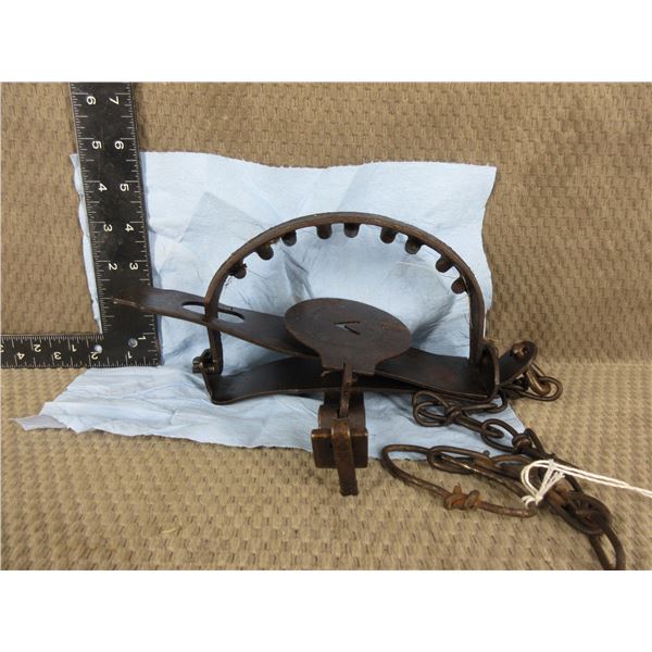 Oneida Jump # 14 Trap