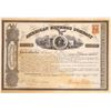 Image 1 : American Express Co. Stock Certificate Signed by Wells and Fargo [134070]