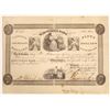 Image 1 : Schuylkill Bank Stock Certificate [134114]
