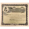 Image 1 : Georgia Vineyard Company Stock [123400]