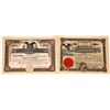 Image 1 : Two Firearms Companies Stocks [127121]
