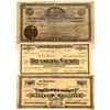 Image 1 : Brunswick" Comstock Mining Stock Certificates [129869]