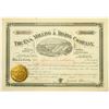Image 1 : Eva Milling & Mining Co Stock, Durango, Mexico, 1891 [118710]