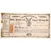 Image 1 : Delfina Silver and Copper Mining Stock [90565]
