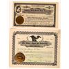 Image 1 : Fraternity & Sorority Stock Certificate Pair [126342]