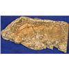 Image 2 : Gold Ore Slab, Cannon Mine, Wenatchee, Washington [132524]