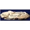 Image 2 : High-Grade Gold Ore, Hishikari Mine, Japan  [132280]