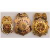 Image 1 : Gold California Fire Department Badges and Firemen's Archive  [132778]