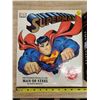 Image 2 : 2 SUPERMAN BOOKS -THE DC VAULT & ULTIMATE GUIDE