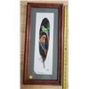 Image 1 : framed painted feather Costa Rica 2006