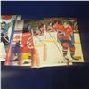 Image 6 : Hockey Card lot