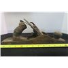 Image 3 : Vintage 14" Union Wood Plane