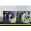Image 1 : 2 NHL Puzzles Mukus Naslund Tomas Kaberle 250 Pieces (Sealed)