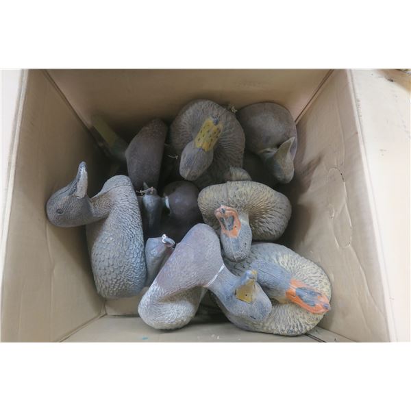 8 Rubber Duck Decoys