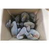 Image 1 : 8 Rubber Duck Decoys
