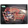 Image 2 : 17 X 12.5 New Harley Davidson sign - tin