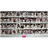 Image 2 : Vintage ESSO NHL All-star collection complete set album 48 plus