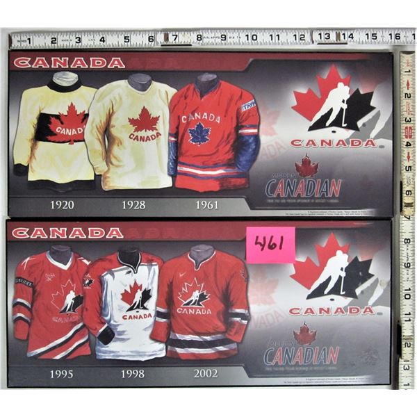 2 Molson Canadian 7" X 16" team Canada jersey plaques