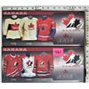 Image 1 : 2 Molson Canadian 7" X 16" team Canada jersey plaques