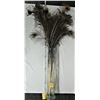 Image 1 : 24" clear glass vase and assortment of peacock feathers