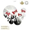 Image 1 : 2015 50th Anniversary of the Canadian Flag. Includes both frosted relief and colourized 25 cents coi