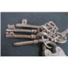 Image 2 : Large Iron Lock + Skeleton Key Set