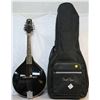 Image 1 : Mandolin w/Carry Case