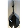 Image 3 : Mandolin w/Carry Case