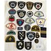 Image 1 : Misc. law enforcement shoulder patches